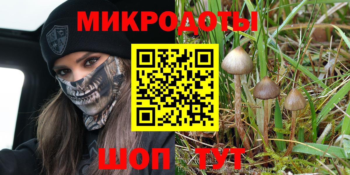 Псилоцибиновые грибы ЛСД Старая Купавна